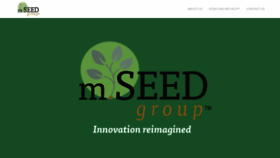 What Mseedgroup.com website looked like in 2019 (4 years ago)