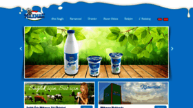 What Milkman.com.tr website looked like in 2019 (4 years ago)