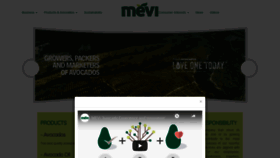 What Meviavocados.com website looked like in 2019 (4 years ago)