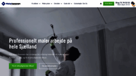 What Malerkanonen.dk website looked like in 2019 (4 years ago)