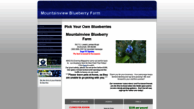 What Mountainviewblueberryfarm.com website looked like in 2019 (4 years ago)