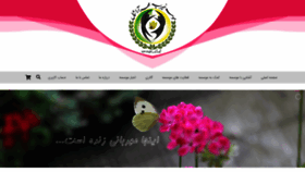 What Mehrara.org website looked like in 2019 (4 years ago)