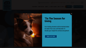 What Morrisanimalfoundation.org website looked like in 2019 (4 years ago)