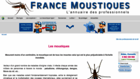 What Moustiques.fr website looked like in 2019 (4 years ago)