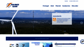 What Malungselnat.se website looked like in 2019 (4 years ago)