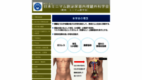 What Minimumendo.jp website looked like in 2019 (4 years ago)