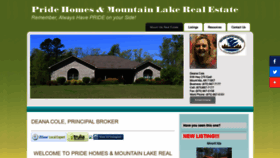 What Mountidarealestate.com website looked like in 2019 (4 years ago)