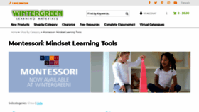 What Mindsetlearningtools.com website looked like in 2019 (4 years ago)