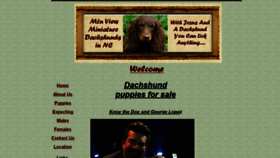 What Mtnviewminidachshunds.com website looked like in 2019 (4 years ago)