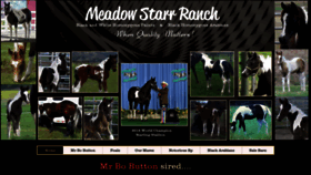 What Meadowstarr-ranch.com website looked like in 2019 (4 years ago)
