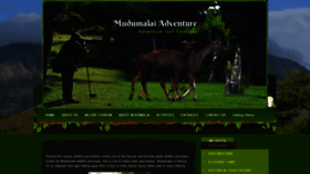 What Mudumalaiadventure.com website looked like in 2019 (4 years ago)