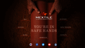 What Mextile.com.mx website looked like in 2019 (4 years ago)