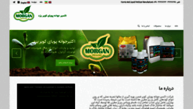 What Morgangpk.com website looked like in 2019 (4 years ago)