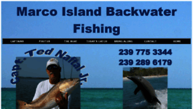 What Marcoislandbackwaterfishing.com website looked like in 2019 (4 years ago)