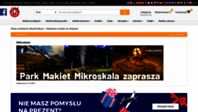 What Mojehobby.pl website looked like in 2020 (4 years ago)