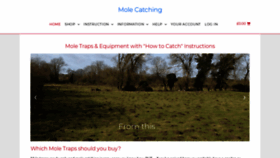 What Molecatching.com website looked like in 2020 (4 years ago)