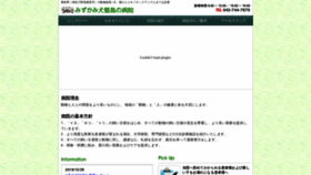 What Mizukami-vet.com website looked like in 2020 (4 years ago)