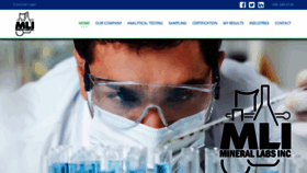 What Minerallabs.com website looked like in 2020 (4 years ago)