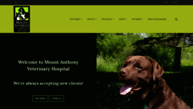 What Mtanthonyvet.com website looked like in 2020 (4 years ago)