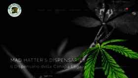 What Mhdcannabis.com website looked like in 2020 (4 years ago)