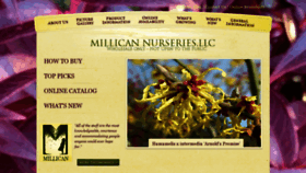 What Mniplants.com website looked like in 2020 (4 years ago)