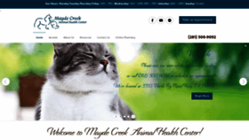 What Mcahc.com website looked like in 2020 (4 years ago)