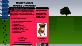 What Mightymoesgrooming.com website looked like in 2020 (4 years ago)