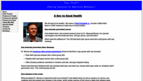 What Max-well.us website looked like in 2020 (6 years ago)