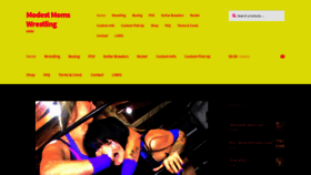 What Modestmomswrestling.mom website looked like in 2020 (6 years ago)