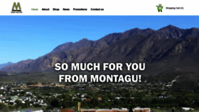 What Montagushoponline.co.za website looked like in 2020 (4 years ago)