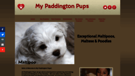 What Mypaddingtonpups.com website looked like in 2020 (4 years ago)