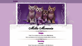 What Millamoravia.cz website looked like in 2020 (4 years ago)