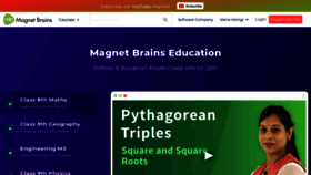 What Magnetbrains.com website looked like in 2020 (4 years ago)