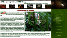 What Molluscs.at website looked like in 2020 (4 years ago)