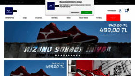 What Mizunotr.com website looked like in 2020 (4 years ago)