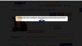 What Maclaren.pl website looked like in 2020 (4 years ago)
