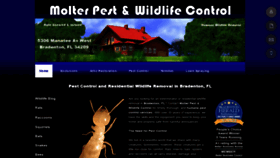 What Molterpestandwildlife.com website looked like in 2020 (4 years ago)