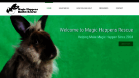 What Magichappensrescue.com website looked like in 2020 (4 years ago)