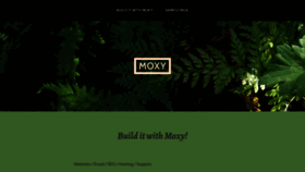 What Moxy.co.nz website looked like in 2020 (4 years ago)