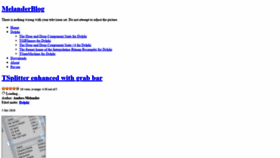 What Melander.dk website looked like in 2020 (4 years ago)