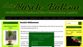 What Mein-nasch-balkon.de website looked like in 2020 (4 years ago)