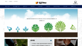 What Miraldure.net website looked like in 2020 (4 years ago)