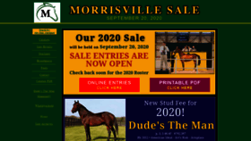 What Morrisvillesale.com website looked like in 2020 (4 years ago)