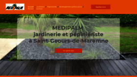 What Medipalm-landes.fr website looked like in 2020 (4 years ago)