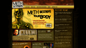 What Methfreetn.org website looked like in 2020 (4 years ago)