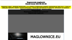 What Maglownice.eu website looked like in 2020 (4 years ago)