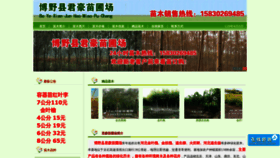 What Miaomumiaopu.com website looked like in 2020 (4 years ago)