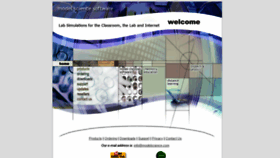 What Modelscience.com website looked like in 2020 (4 years ago)