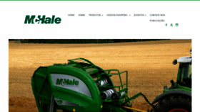What Mchale.com.br website looked like in 2020 (4 years ago)