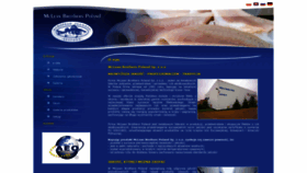What Mclean.pl website looked like in 2020 (4 years ago)